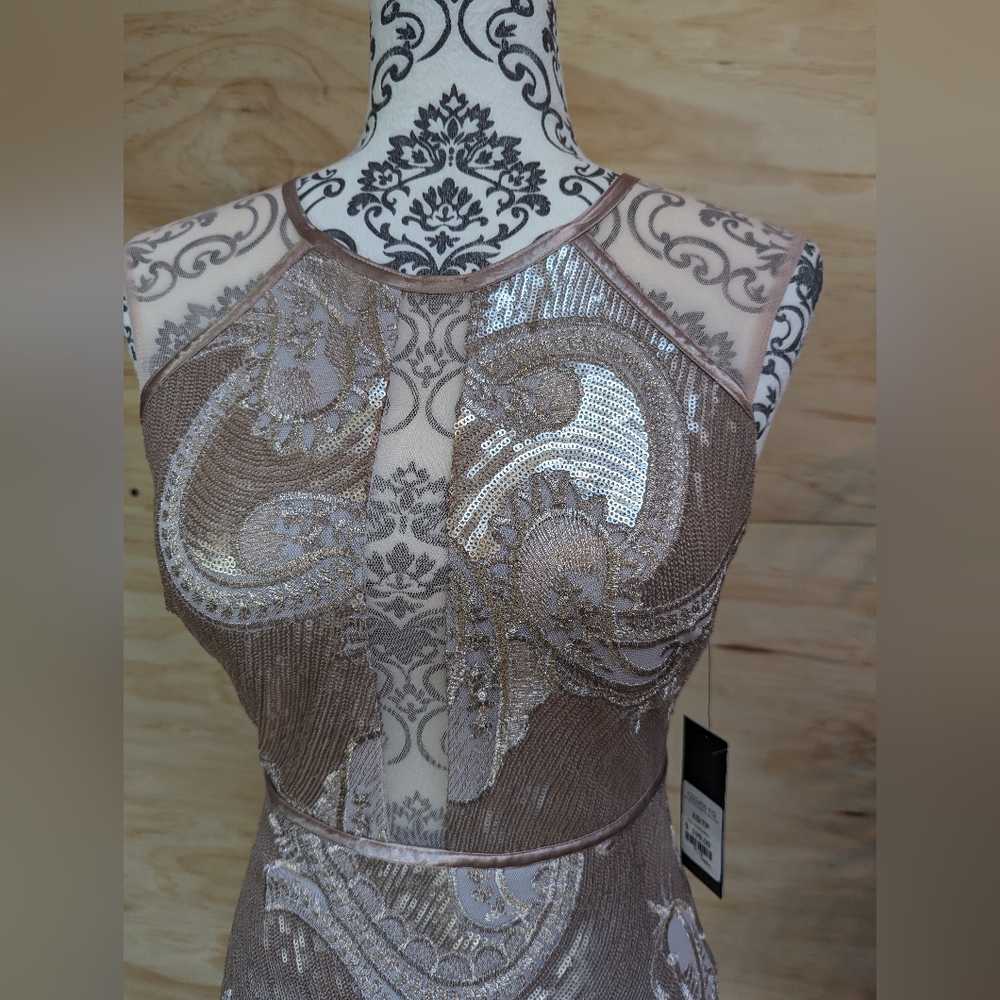 Occasion formal dress